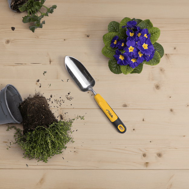 Kastuvėlis persodinimui STIGA