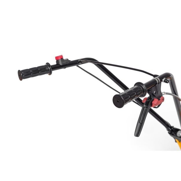 Benzininis kultivatorius Alpina ATL 36 V